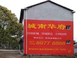 宁陵百分之90的人都不了解的农村墙体广告