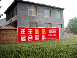 宁陵如何让墙体广告展现最大化效果