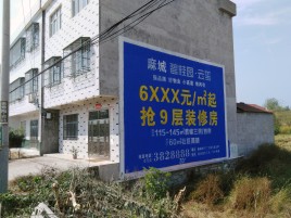 宁陵墙体广告质量分析