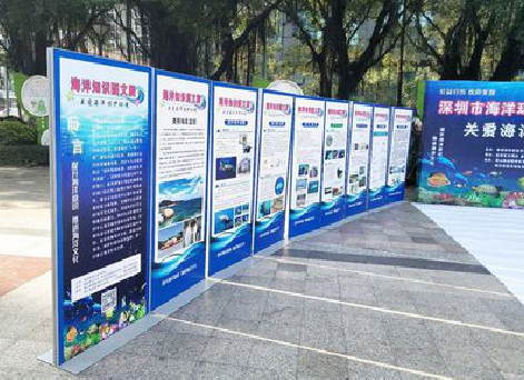 宁陵KT板的种类和知识。